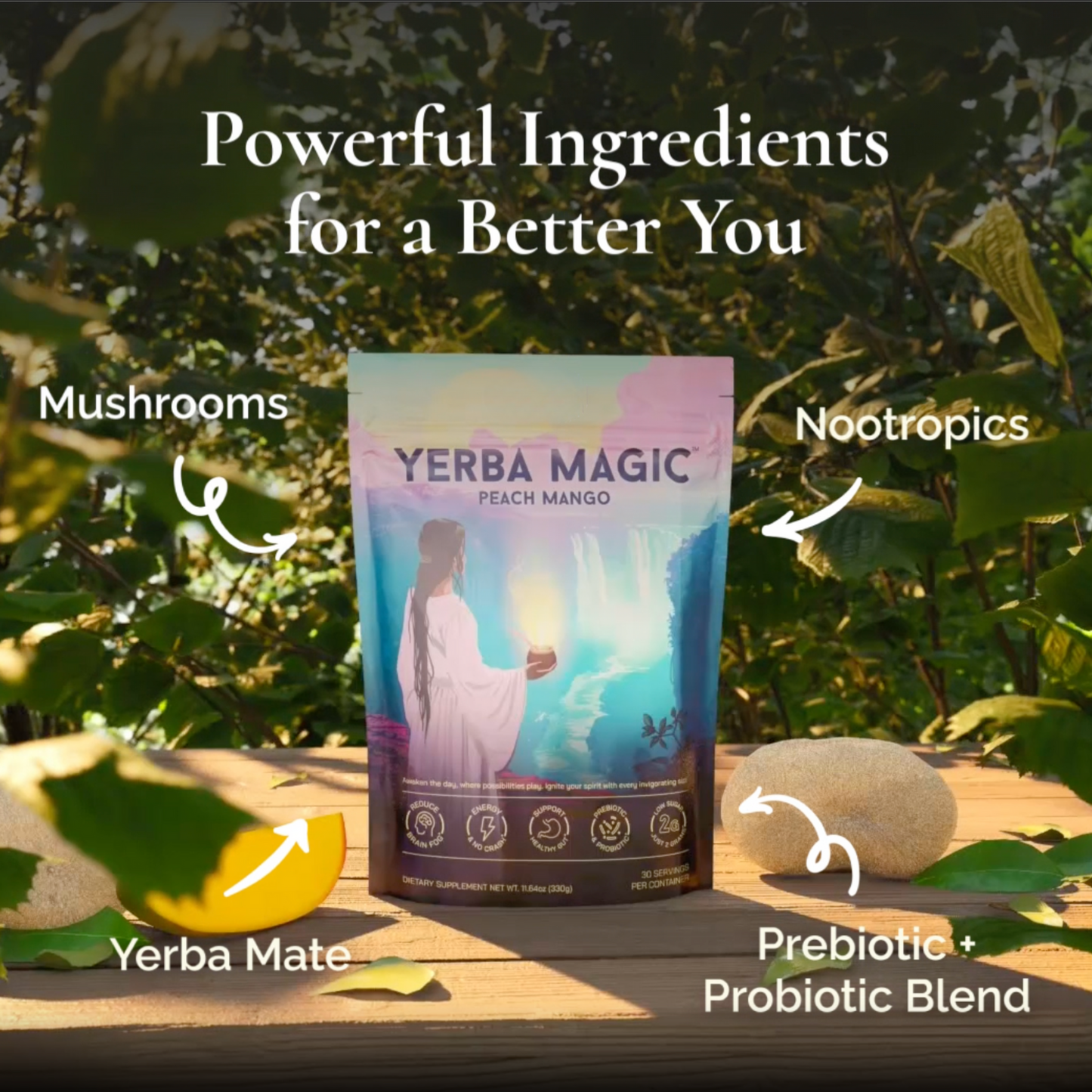 Yerba Mate Instant Tea Powder