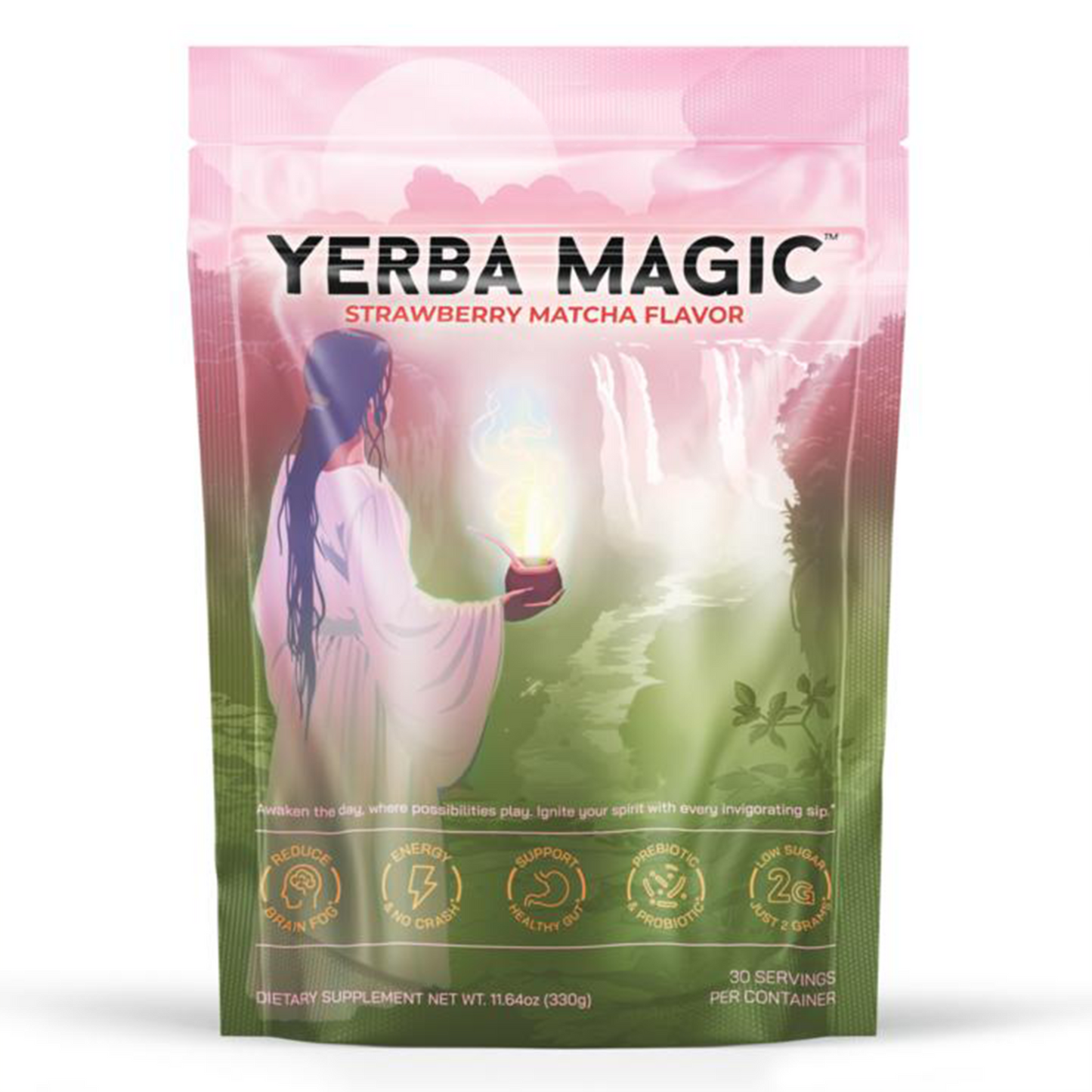 Yerba Mate Instant Tea Powder